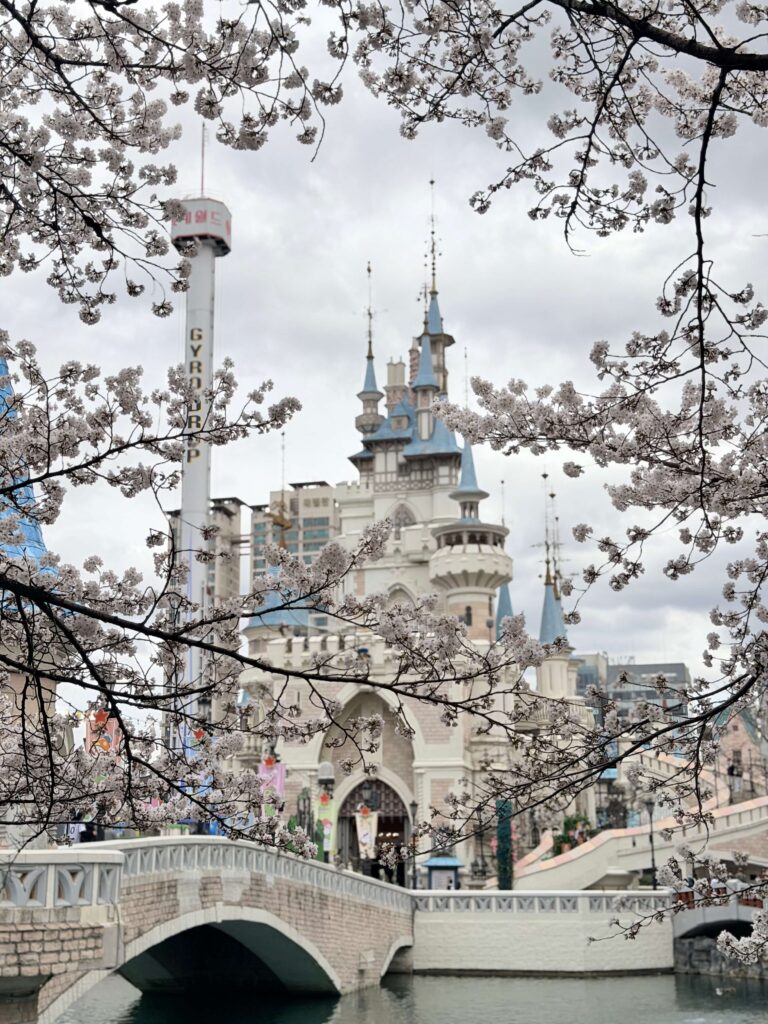 Cherry blossom view at Seokchon Lake near Lotte World Mall
