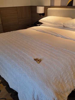 King Bed Deluxe Room for a Family Stay 5